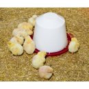 Kunststofftränke, lebensmittelecht, für Küken und Hühner, 1,5 - 10 L