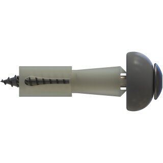 DSH-2-A Abstandsset (17-20 mm)  für Lichtplattenbefestigung auf Holz mit 19 mm Schirmdichtung, Flachrundkopf, TORX20-SIT®, 4,8 x 50 mm, Edelstahl A2 / Kunststoff, gebeizt, passiviert, Paket á 100 Stück